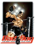 mixed martial arts
